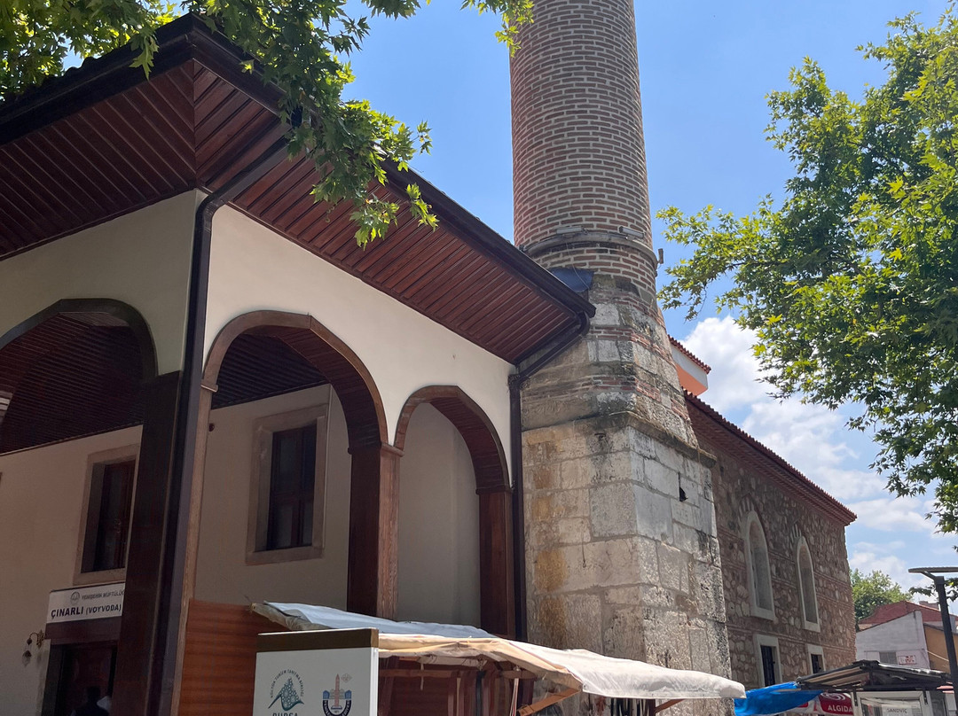Cinarli Camii-Yenisehir必去景点