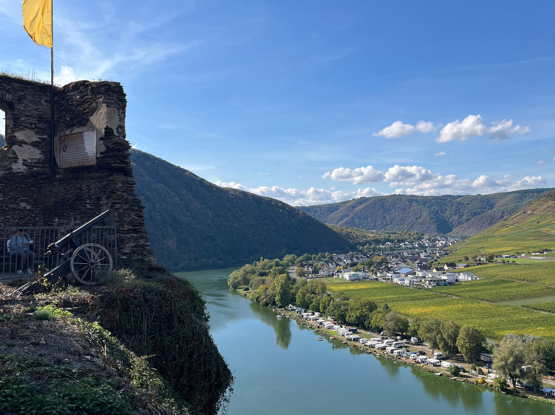 Burgruine Metternich