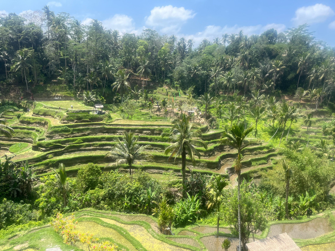 Suweca Bali Tour-南湾必去景点