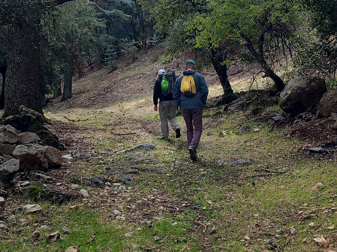 Saleh Boudaoud Official Guide-Azrou必去景点