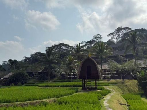 曼答帕丽思卡尔顿隐世酒店-旅行者