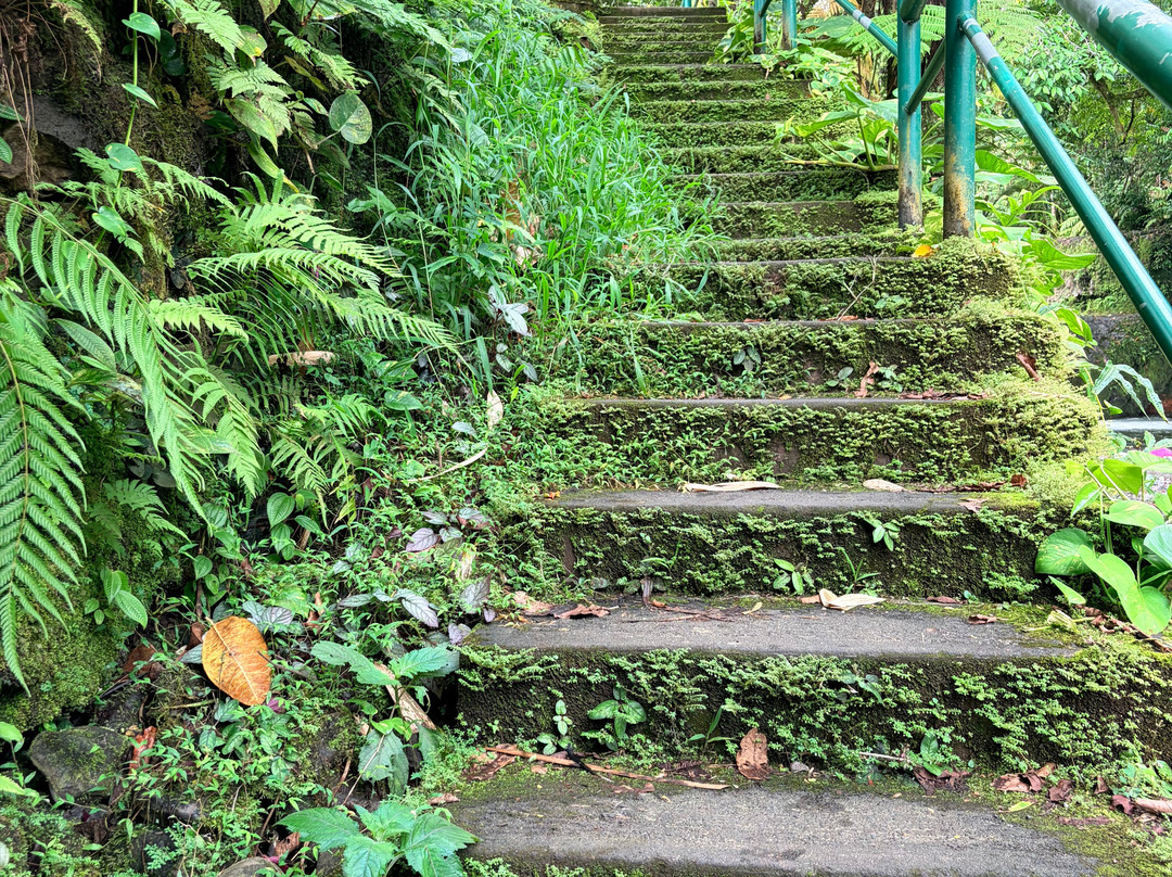 Togitogiga Waterfall-Upolu必去景点