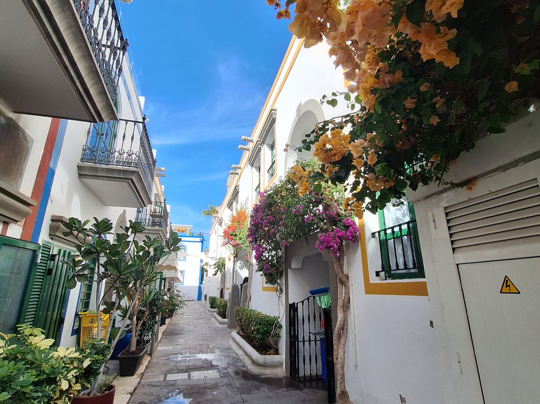 Puerto De Mogán-莫干港必去景点