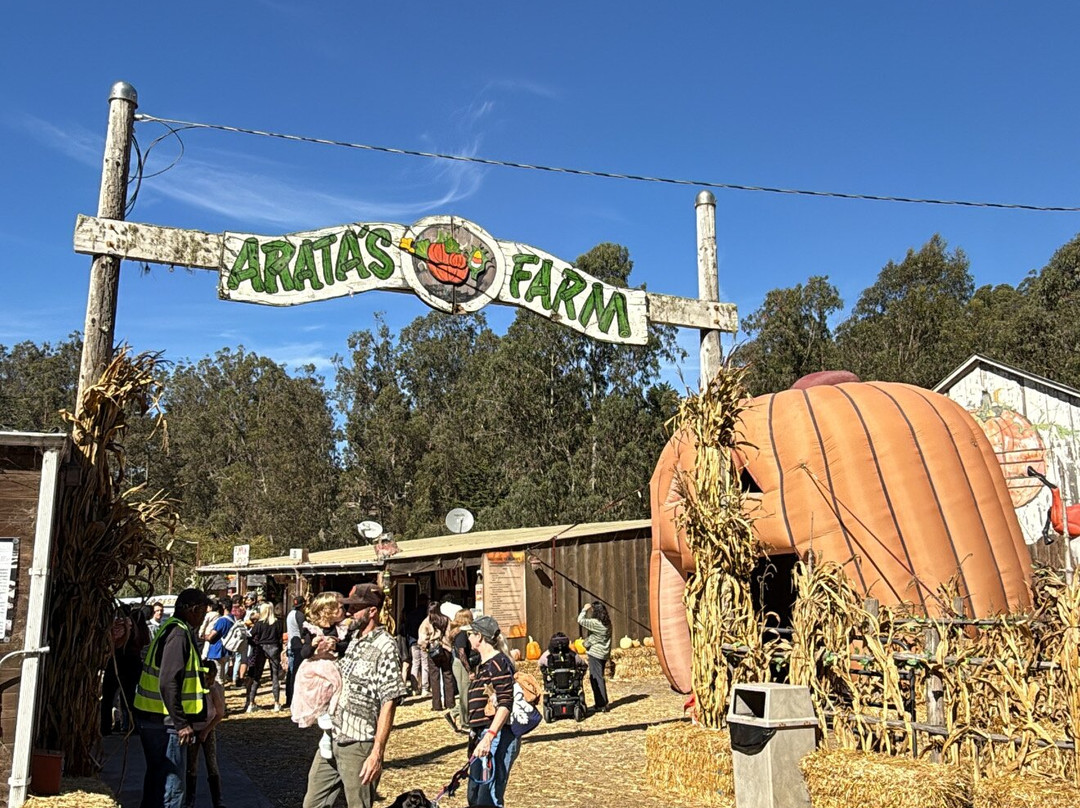 Arata Pumkin Farm-半月湾必去景点