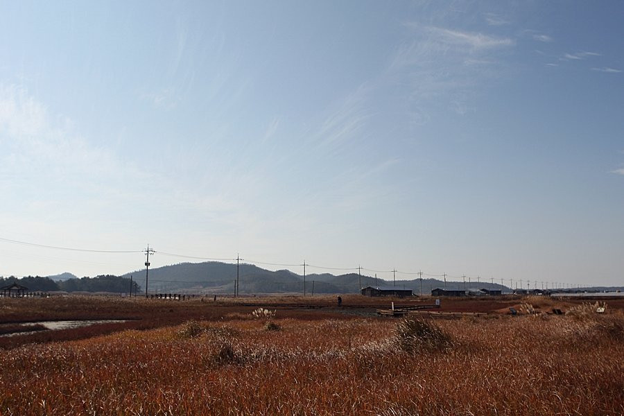 Taepyeong Yeomsaeng Botanical Garden景点图片