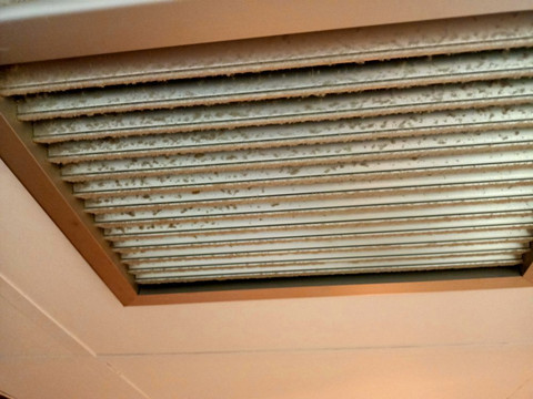 西斯内罗斯酒店主图