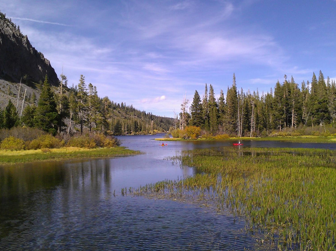 Mountainback at Mammoth