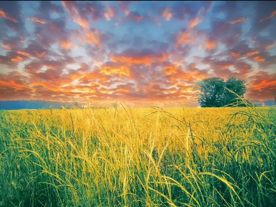 苏泊汗草原旅游景区