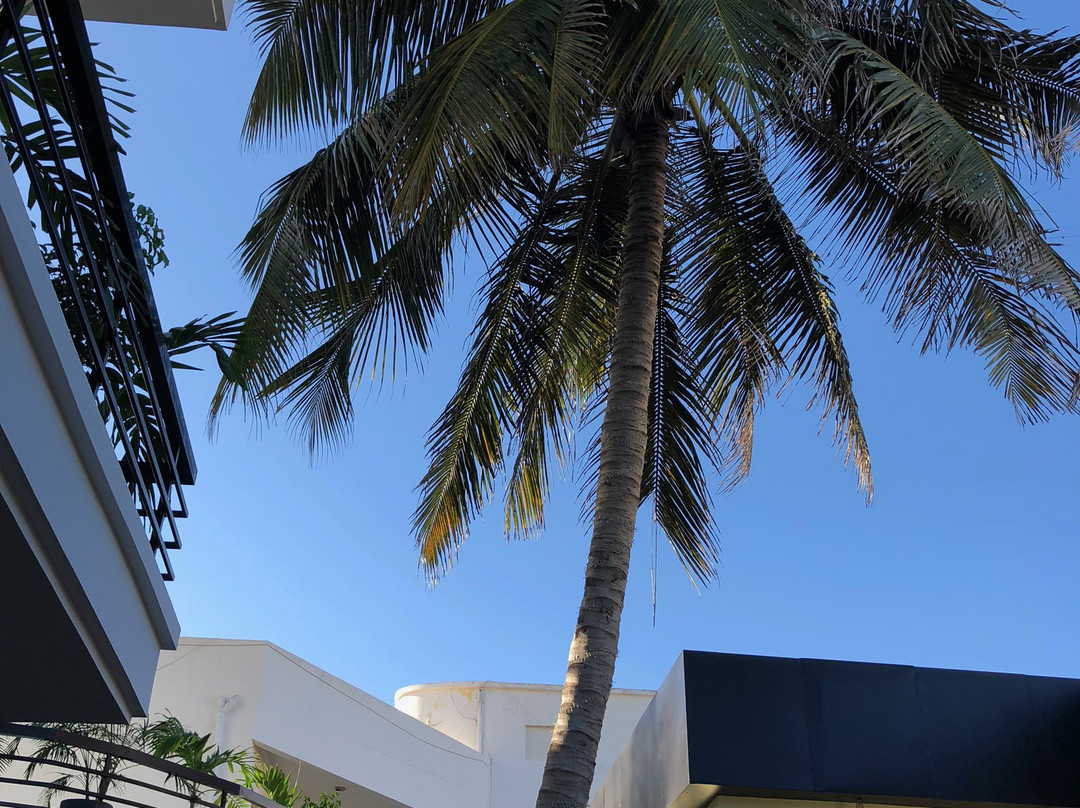 THE PALMS Luxury Boutique Hotel