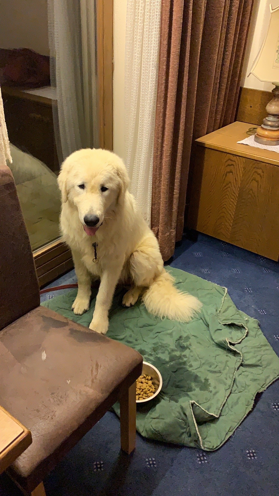 Sporthotel Pechtl-官方