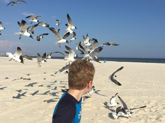 长滩智选假日酒店