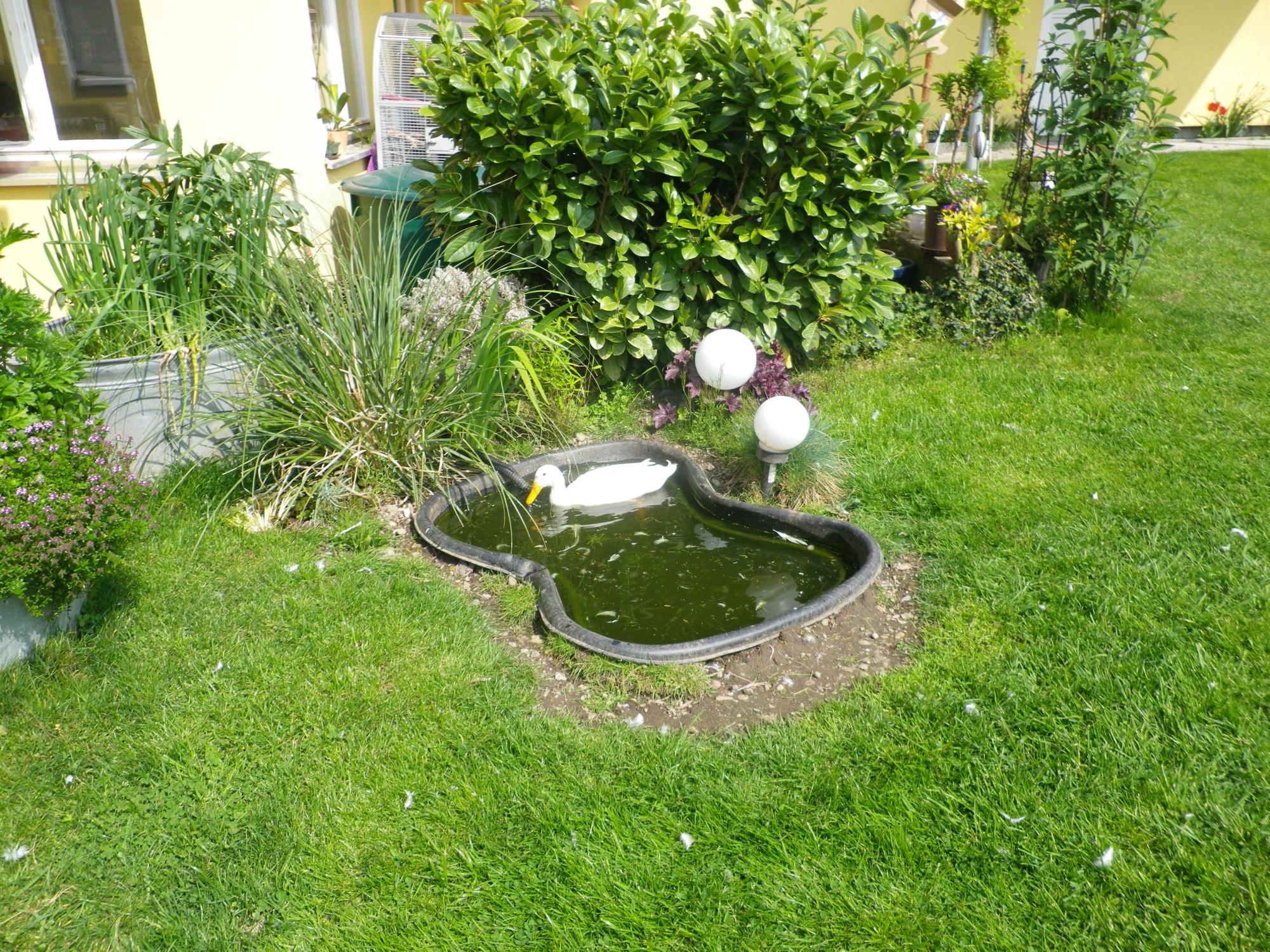 Hotel Seehalde-客卧