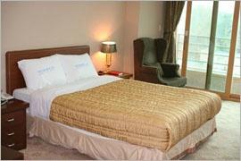 World Hotel-客卧