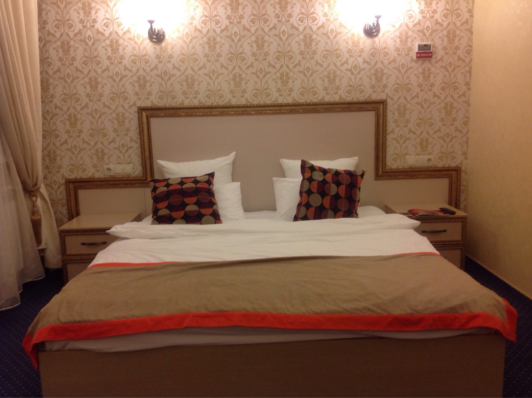 萨拉托夫酒店住宿-Onegin Boutique Hotel