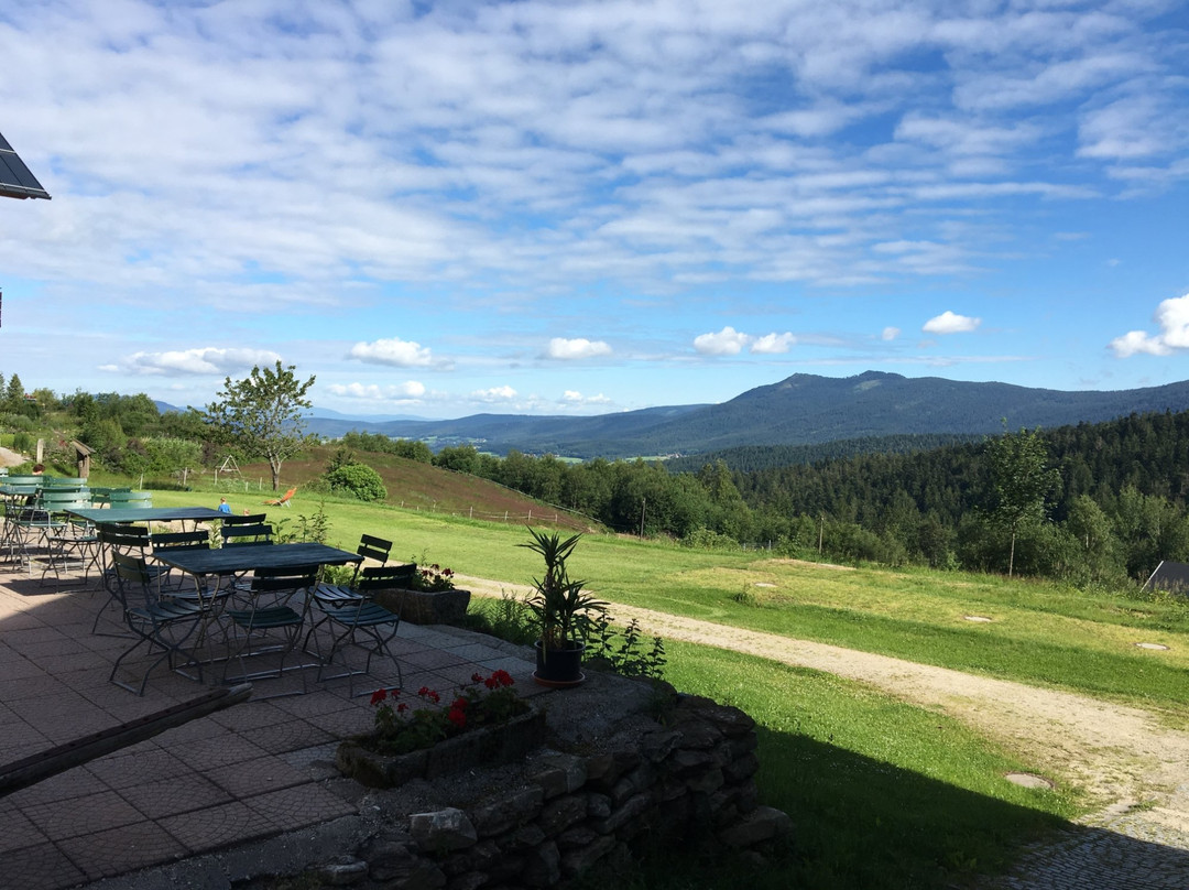 Mooshutte Berghotel