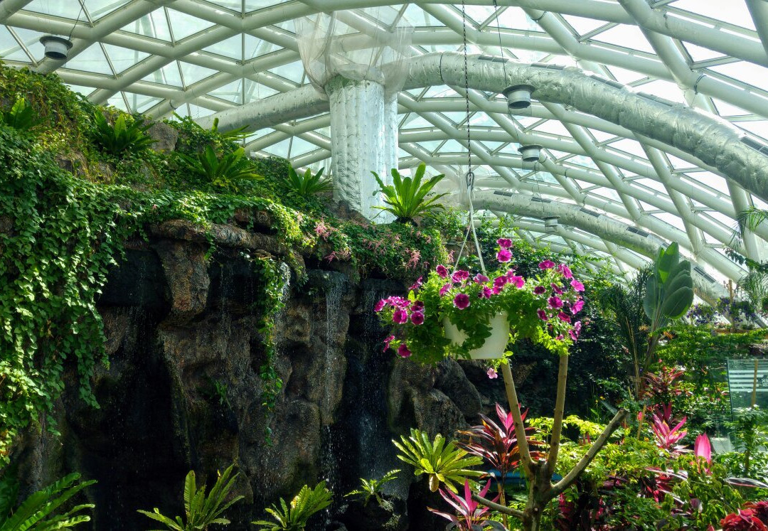 Konya Tropical Butterfly Garden景点图片