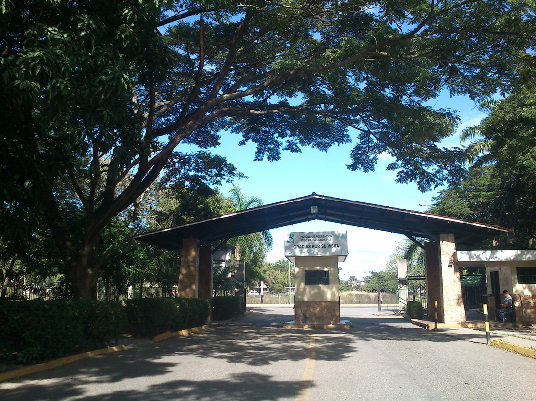 Parque Del Este景点图片