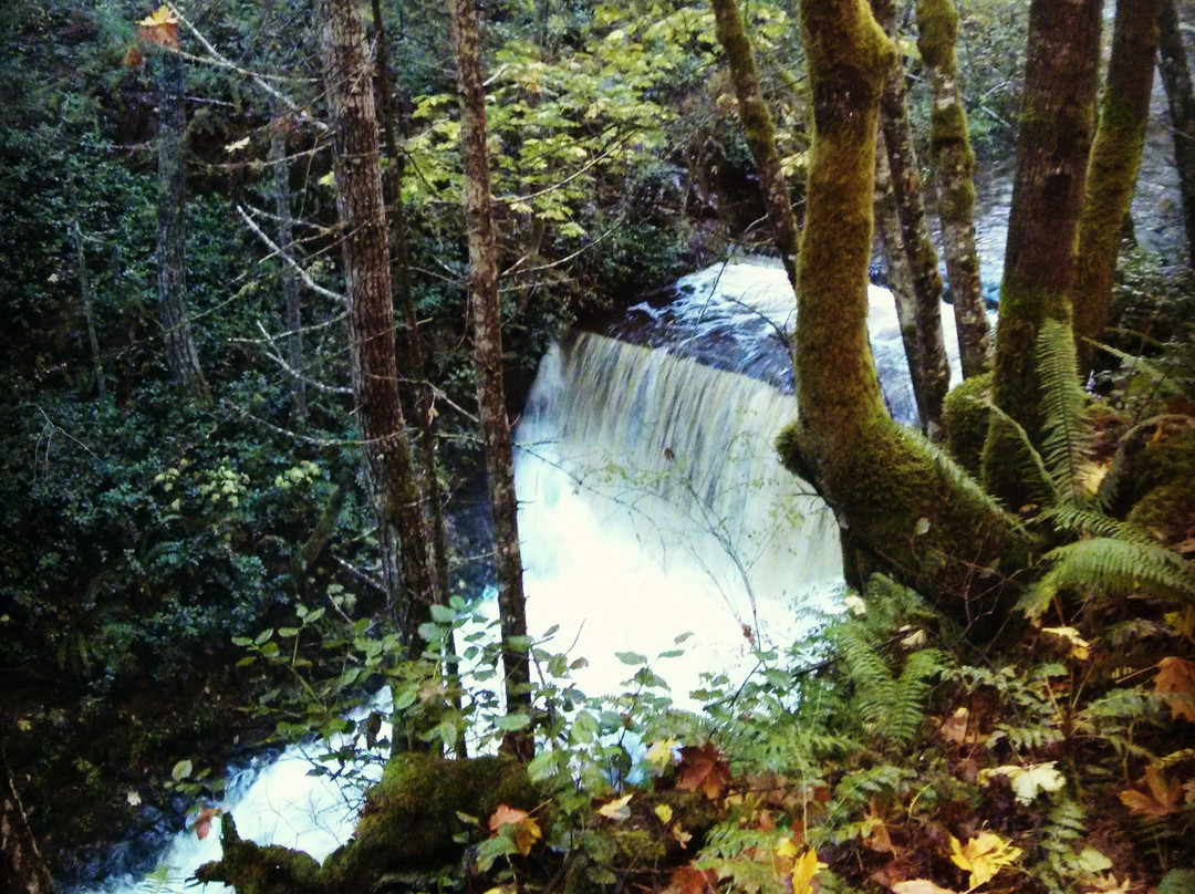 Holland Creek Hiking Trails景点图片