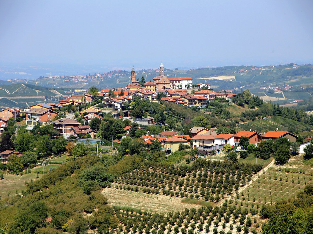 Azienda Agricola Mario Giribaldi景点图片