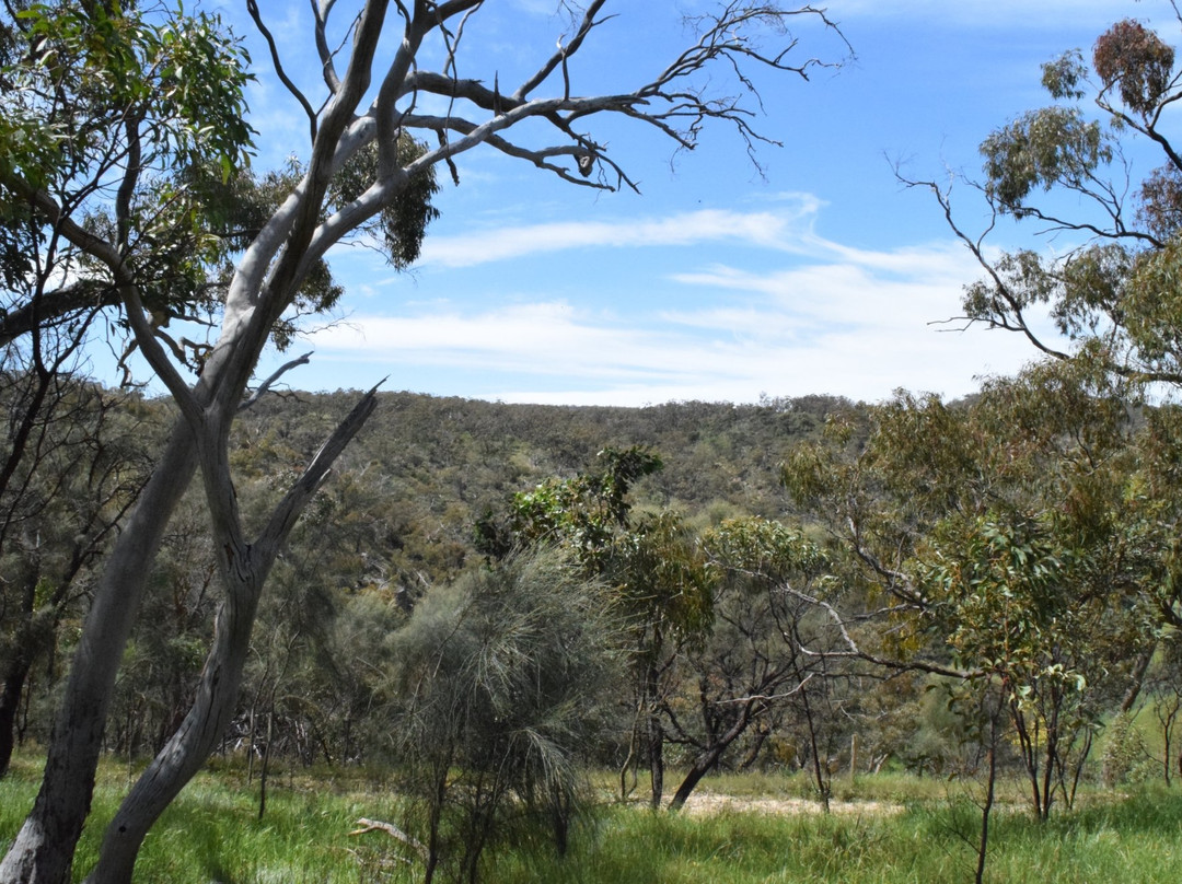 Spring Gully Conservation Park