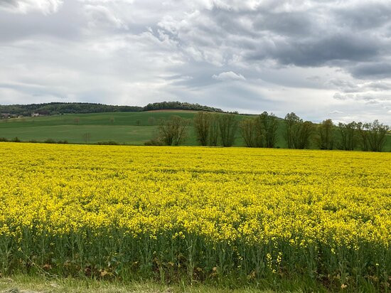 Ferme Fortifiée De Ville-au-val-Millery必去景点