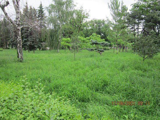 Lenin Square-Makiivka必去景点