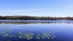 Parvin State Park-Elmer必去景点