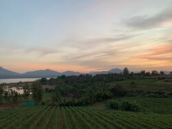 Vallonne Vineyards景点图片