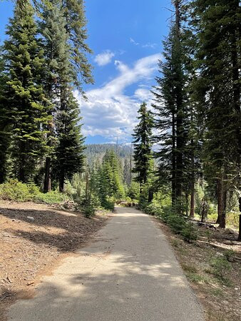 沃克萨奇村&小屋酒店主图