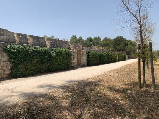 Masseria Altemura景点图片