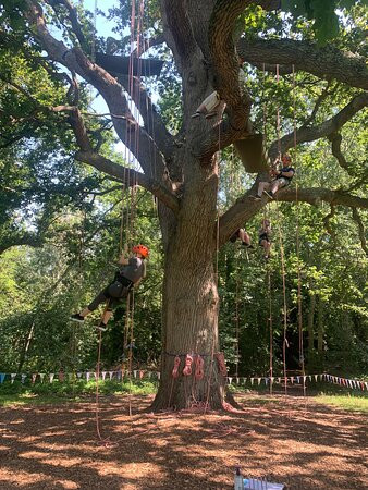 Goodleaf Tree Climbing-赖德必去景点