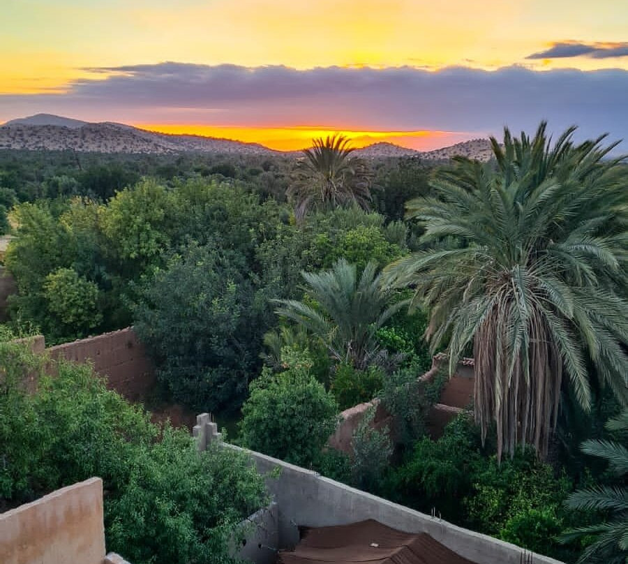 Tiout酒店住宿-Oasis de Tiout