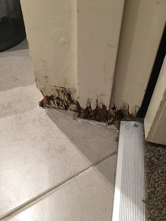 品质酒店林肯绿主图