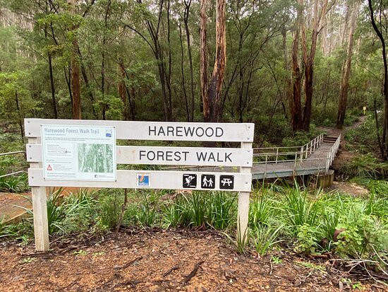 Harewood Forest景点图片