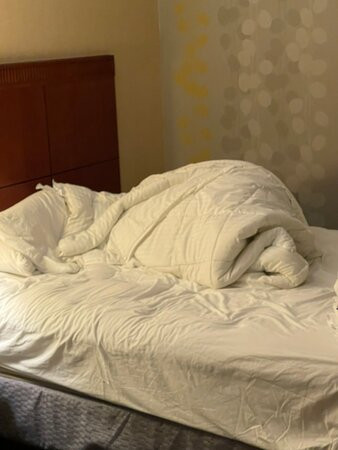 底特律沃伦万怡酒店主图