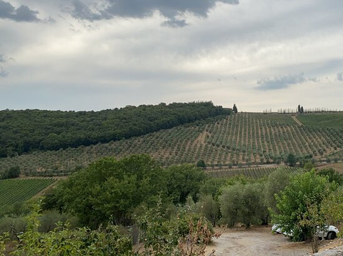 Fattoria le Pici主图