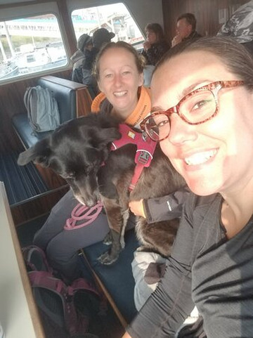 Alaska Coastal Marine Tours-荷马必去景点