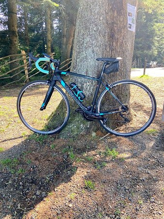 Chambres d'hotes La Fougeraie主图