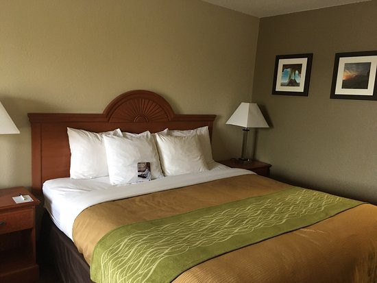 Clarion Pointe By Choice Hotels Racine - Mount Pleasant主图