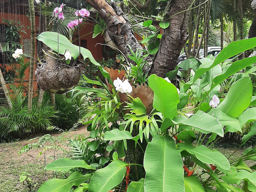 Pousada Quinta das Flores