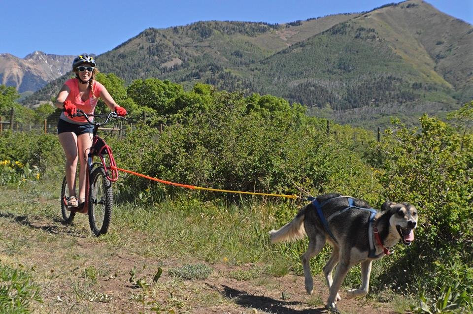 Durango Dog Ranch-杜兰戈必去景点