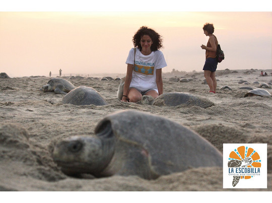 Centro Ecoturístico Escobilla