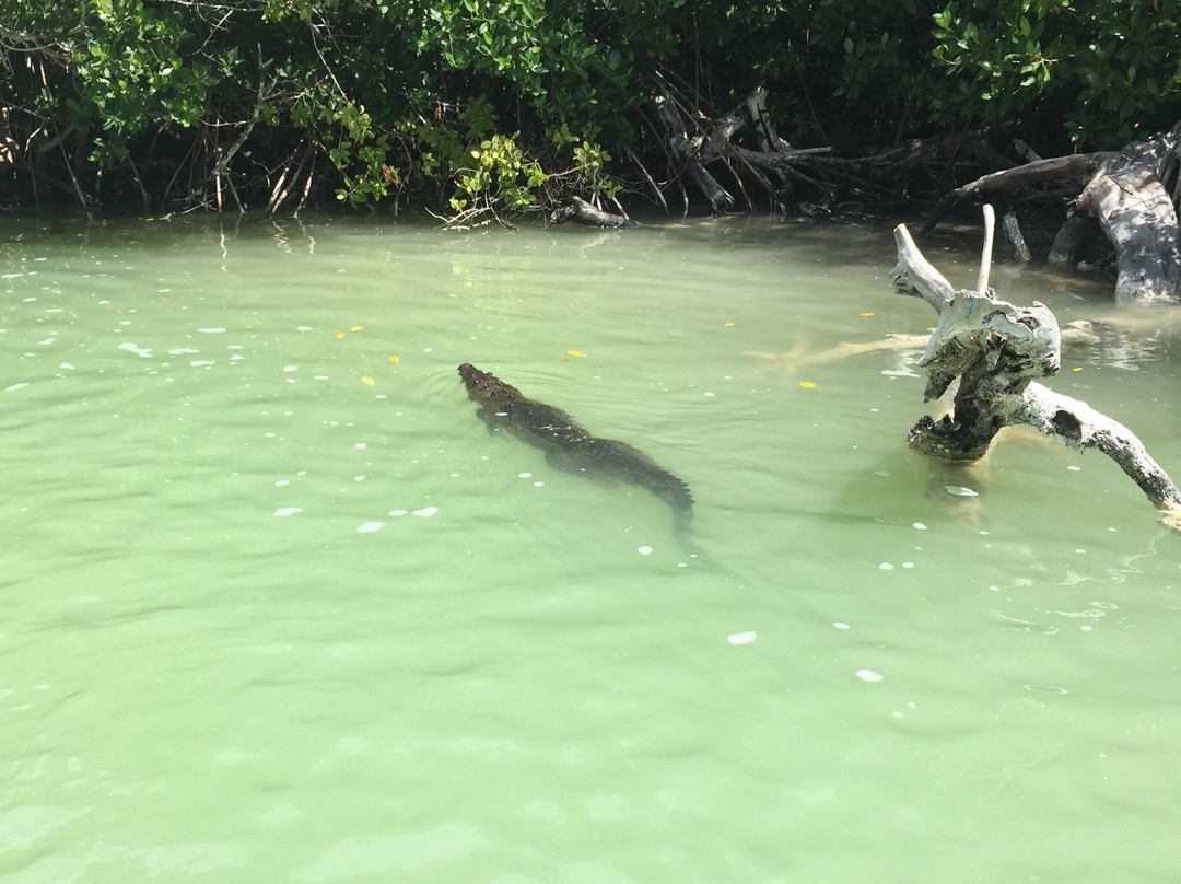 Posada Las Glorias主图