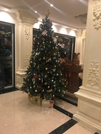 Van Kim Long Hotel主图