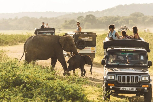 Ceylon Paradise Travels-卡卢特勒必去景点
