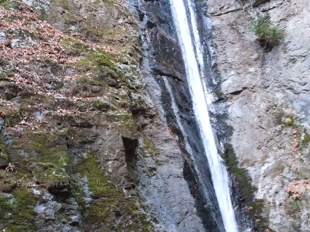 Sengataki Fall景点图片