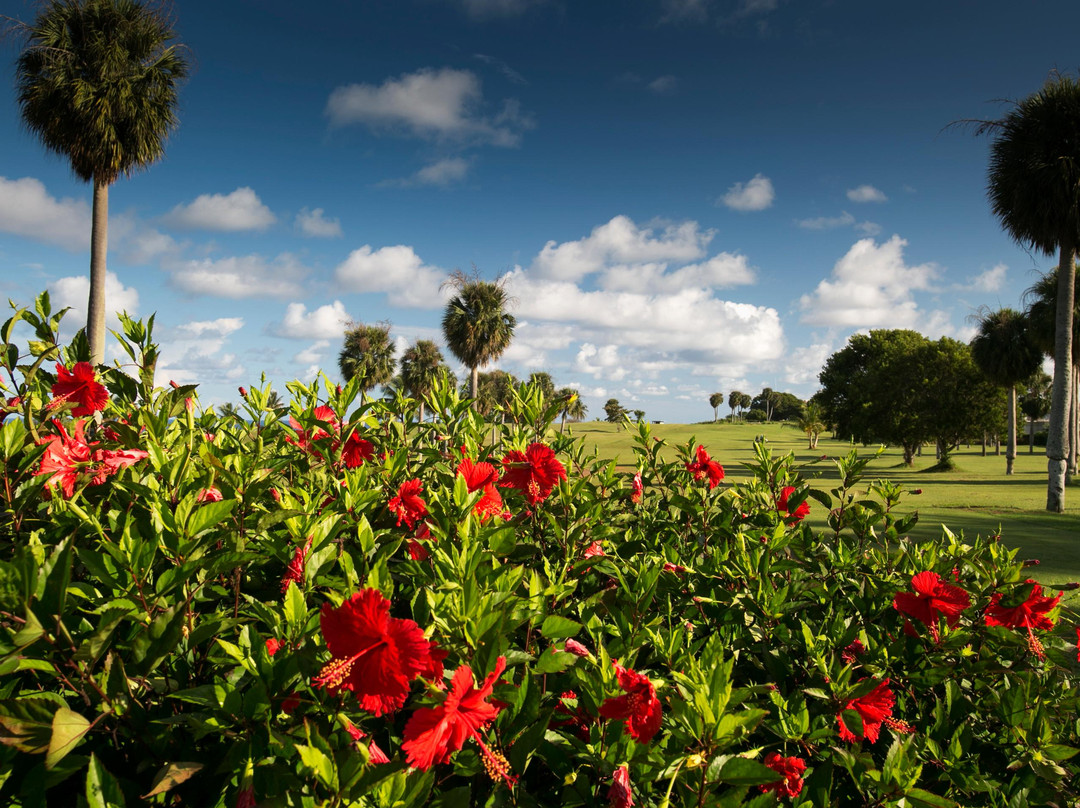 Punta Borinquen Golf Club-波多黎各必去景点