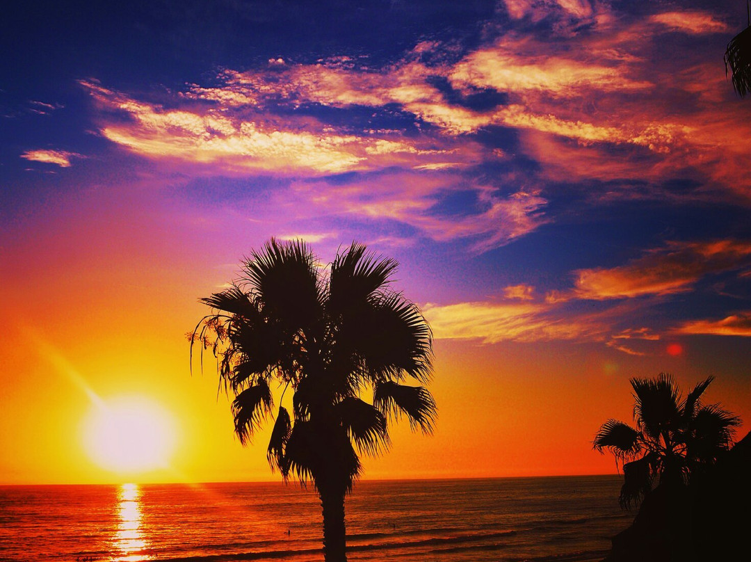 索拉纳海滩旅游攻略图片