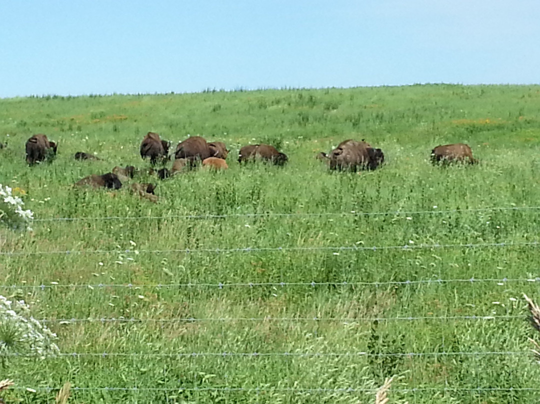 Prairie City旅游攻略图片