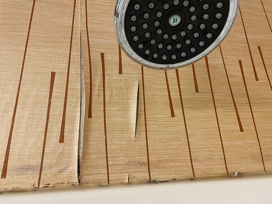 Holiday Inn Express & Suites Bowling Green By IHG主图